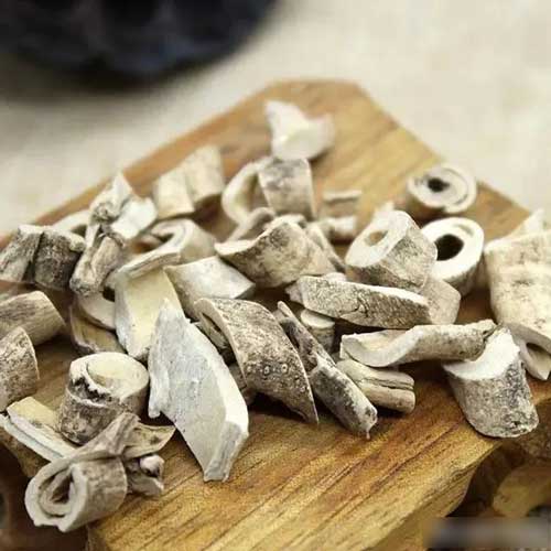 活動(dòng)風(fēng)采